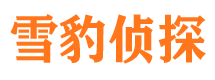 陆川外遇调查取证